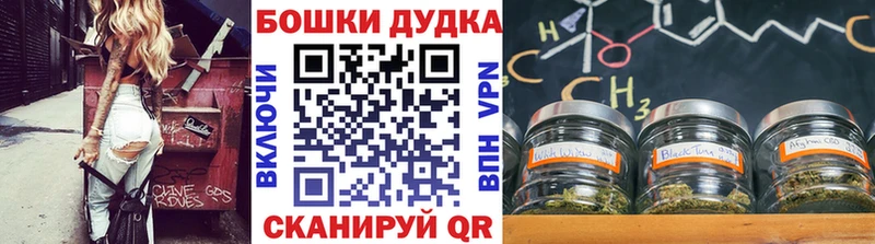 Где купить наркоту Александров MEGA вход Галлюциногенные грибы Меф Кокаин Гашиш LSD-25