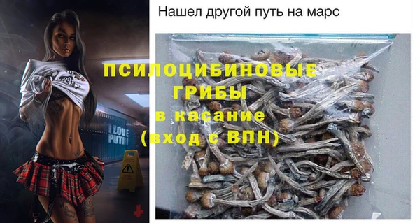 первитин Алексин