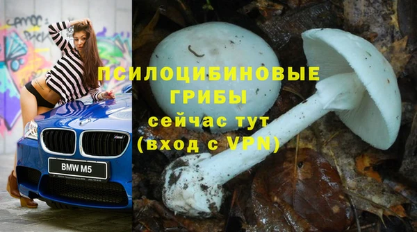 PSILOCYBIN Алзамай