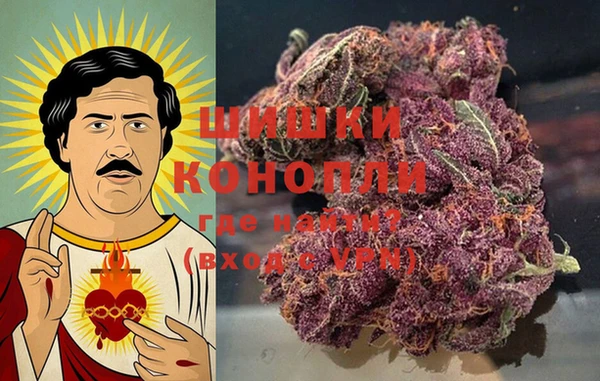 PSILOCYBIN Алзамай