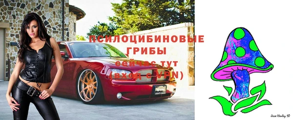 амф Абдулино