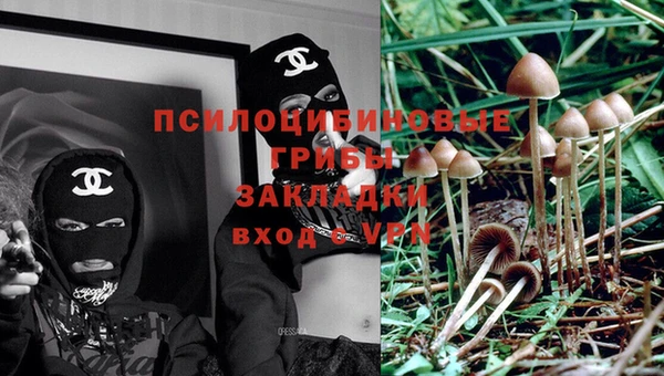 крисы Абаза