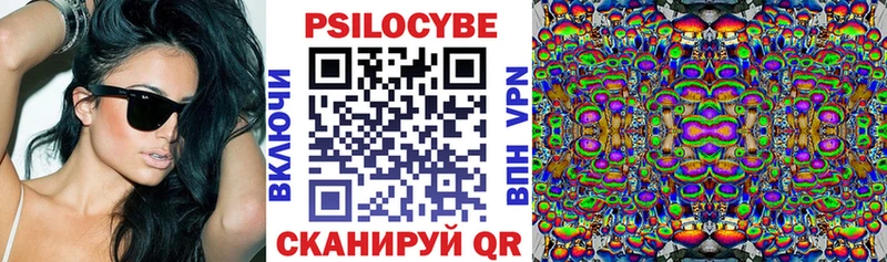 как найти наркотики  Александров  Галлюциногенные грибы мухоморы 